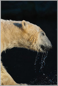 sample 8--900.jpg sample 8--900.jpg