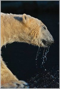 sample 10-900.jpg sample 10-900.jpg