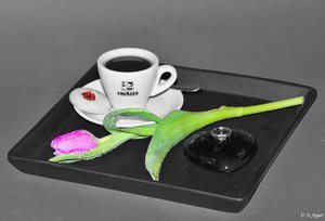 COLOUR.jpg COLOUR.jpg