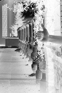 Bilderforum HANDBilderforum IMG04945hand (c) PPf (c) PPf.jpg Bilderforum HANDBilderforum IMG04945hand (c) PPf (c) PPf.jpg