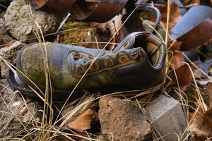 Schuh-_SD14 - SDIM3830.jpg