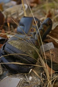 Schuh-_SD14 - SDIM3831.jpg