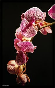 comp__MG_0360 Kopie.jpg