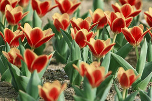 SDIM7740_1-1 Kopie-1.jpg