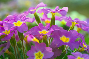 SDIM7708_1-1 Kopie-1.jpg