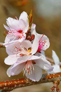 SDIM7697_1-1 Kopie-1.jpg