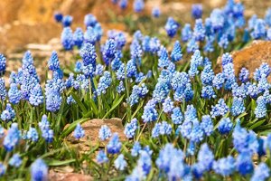 SDIM7731_1-1 Kopie-1.jpg