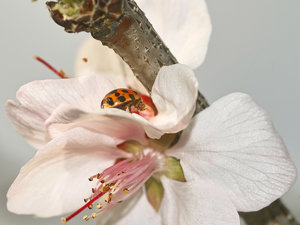 SDIM7699_1-1 Kopie-1.jpg