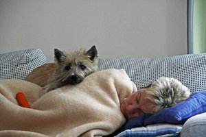 Bild 3.JPG Bild 3.JPG