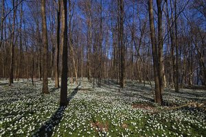 Bild 5.jpg Bild 5.jpg