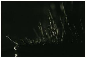 Bild 8.jpg Bild 8.jpg