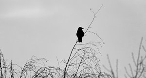 Bild 9.jpg Bild 9.jpg