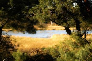 Bild 10.JPG Bild 10.JPG