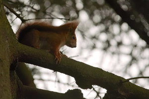 SDIM7721_3-1 Kopie-1.jpg