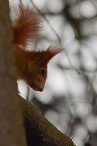 SDIM7714_1-1 Kopie-1.jpg