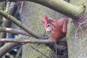 SDIM7728_1-1 Kopie-1.jpg