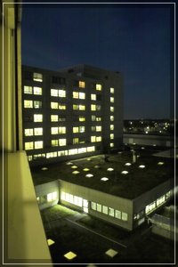 Test_SD1 - SDIM1319.jpg