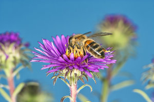 SDIM5703_1-1 Kopie.jpg SDIM5703_1-1 Kopie.jpg