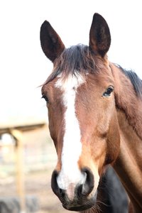 02_web_5760.jpg 02_web_5760.jpg