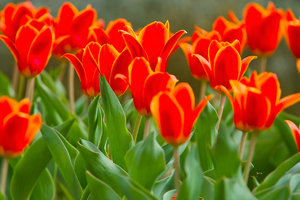 SDIM7874_1-1 Kopie-1.jpg