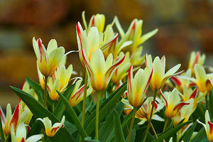 SDIM7848_1-1 Kopie-1.jpg