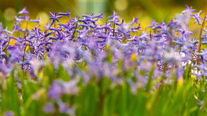 SDIM7843_1-1 Kopie-1.jpg