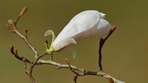 SDIM7837_1-1 Kopie-1.jpg