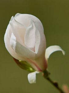 SDIM7838_1-1 Kopie-1.jpg