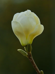 SDIM7850_1-1 Kopie-1.jpg