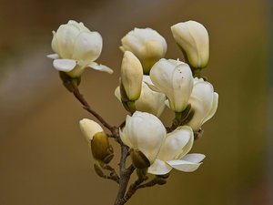 SDIM7865_1-1 Kopie-1.jpg