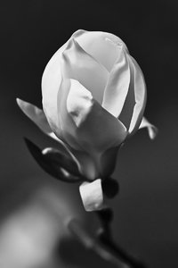 SDIM7836_1-2 Kopie-1.jpg