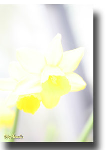 Überbelichtet 2.jpg