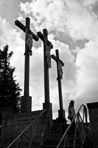 IMG_1969.jpg IMG_1969.jpg