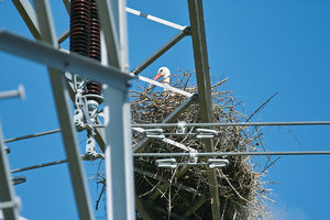 SDIM7911_1-1 Kopie-1.jpg