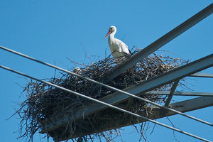 SDIM7922_1-1 Kopie-1.jpg