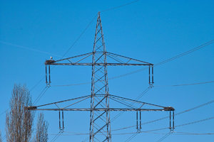 SDIM7928_1-1 Kopie-1.jpg