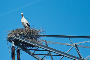 SDIM7925_1-1 Kopie-1.jpg