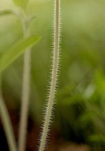 Stack 01-fertig 01.jpg