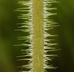 Stack 03-fertig 01.jpg