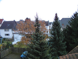 PIMG0085_01.JPG PIMG0085_01.JPG