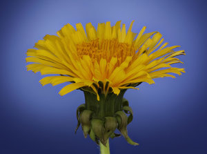 Stack 05 - fertig.jpg