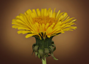 Stack 06 - fertig.jpg