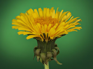 Stack 07 - fertig.jpg