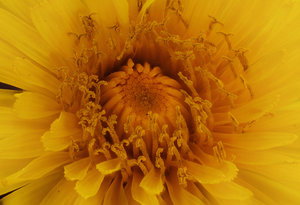 Stack 08 - fertig.jpg