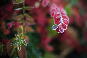 20131203-055 bearb..jpg