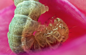 Stack 01 - fertig.jpg Stack 01 - fertig.jpg