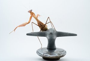 DSC_6684.jpg DSC_6684.jpg