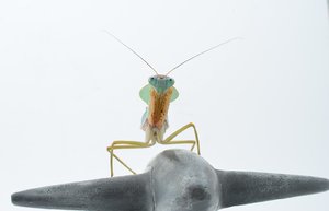 DSC_6686.jpg DSC_6686.jpg