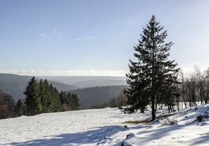 comp__DSC4232.jpg comp__DSC4232.jpg