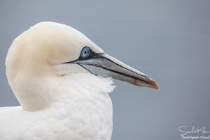 08381000.jpg 08381000.jpg